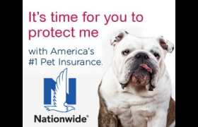 Healthcare plans for your pet only from Nationwide